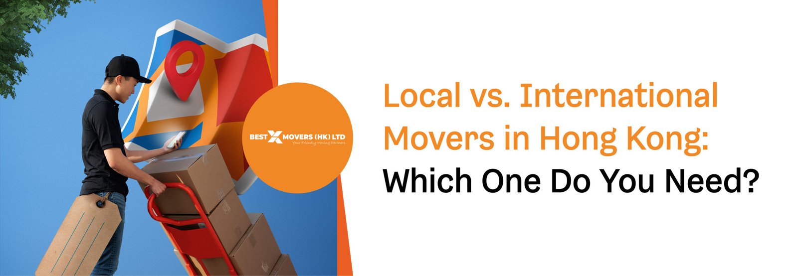 Local vs. International Movers